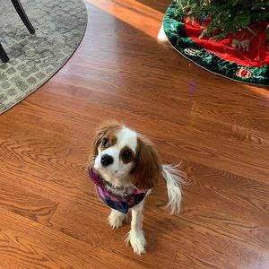 Meet your Posher, Melanie